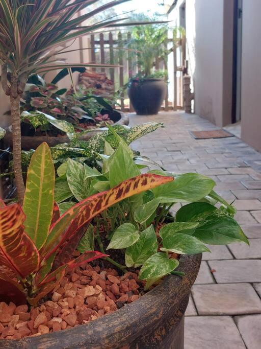 Hide Away On 21 Leilighet Mossel Bay Eksteriør bilde